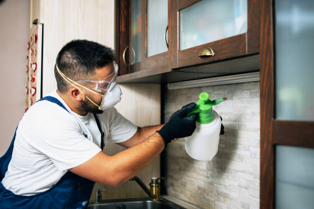  Harmony, RI Pest Control Pros
