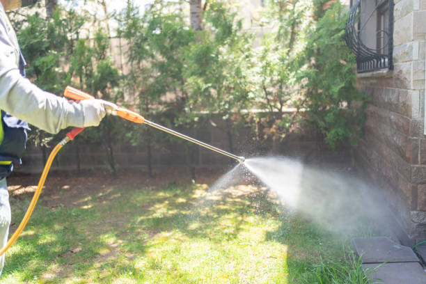Best Rodent Control Near Me  in Harmony, RI
