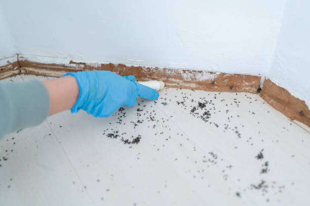 Best Commercial Pest Control Services  in Harmony, RI
