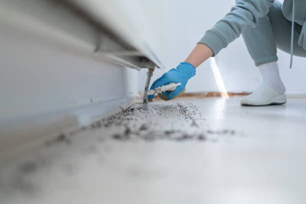 Best Bed Bug Extermination  in Harmony, RI